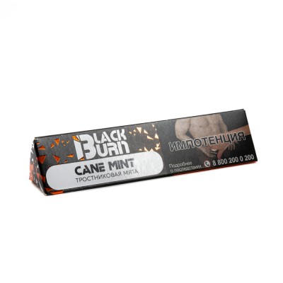 Табак Burn Black Cane Mint (Мята) 25 г