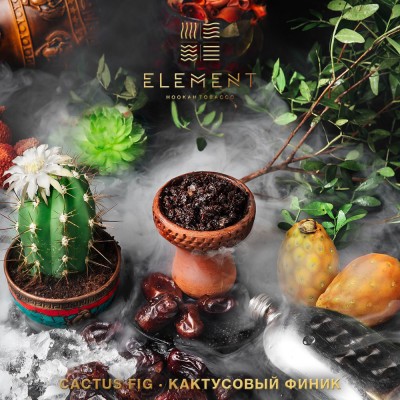 Табак Element (Земля) Cactus Fig (Кактусовый финик) 200 г